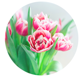 Same day Flowers Beckton